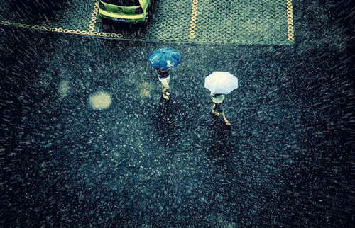 雨水收集利用的經濟效益如何？怎樣能實現雨水收集利用？